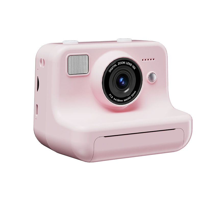 BLS-P10